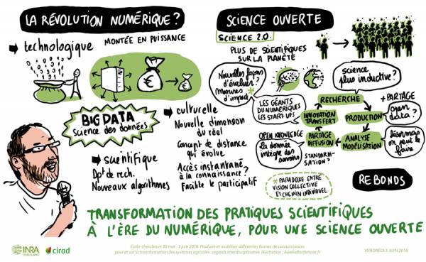INRA-LiveDrawing-3juin-01